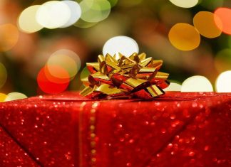 Vyjádření od pana Jíry Drvoštěpa Štěpa – vánoční dárek