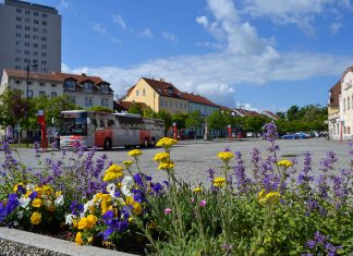 Co se povedlo a co je před námi – Odbor správy majetku v roce 2025