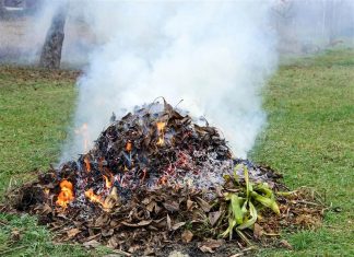 Pálení trávy a listí na zahradách končí