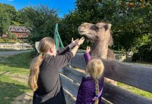 Podzim v plném proudu v Temale