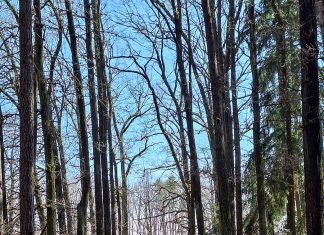 Sochařské dílo Smíření/Odpuštění