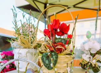 Trhy jsou součást života ve městě