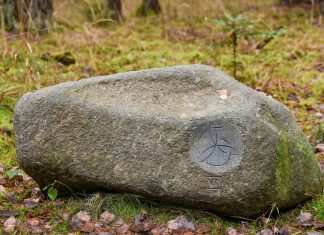 Postní doba vybízí k návratu ke kořenům