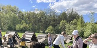 Aktivní jaro v Aerobik studiu Orel Dobříš