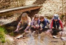 MAS Brdy–Vltava: program červen 2026